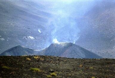 f2_039_33a